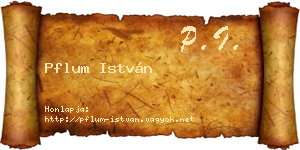Pflum István névjegykártya